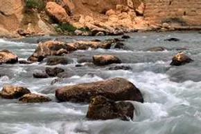 تصاویر/ آغاز برداشت میوه‌های سردسیری در هرمزگان