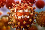 گونه جهش یافته دلتا، مُسری‌تر از همیشه/ ایمنی جامعه با واکسیناسیون عمومی کرونا