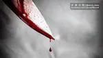 رسیدگی نهایی به پرونده قتل الهه حسین‌نژاد در دادگاه کیفری