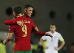 گوسفند‌ها رونالدو را از خانه‌اش فراری دادند! + عکس