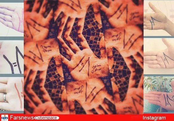 محمد سلوکی، مجری