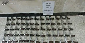 کارتون/کلت اهدایی صدام
