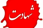 فیلم| ماجرای ترور عراقچی در طول جنگ ۱۲ روزه