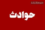 قتل  پدر ۷۳ ساله‌ سر ارثیه