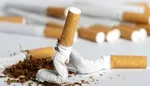 حرم حضرت امیرالمومنین(ع) بسته شد