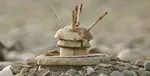انفجار مین در مهران یک کشته و یک زخمی برجای گذاشت