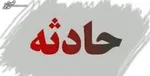 جزئیاتی دیگر از قتل ۴ سرباز در بوشهر/ قاتل دستگیر شد