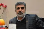 کمالوندی: برجام خاتمه یابد، دلیلی بر ماندن نمی‌بینیم