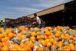 قیمت روز گوشی موبایل در ۱۵ دی