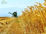 سیف: روند مثبت اقتصادی در سال ۹۷ هم ادامه می‌یابد