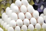 قیمت کالا‌های اساسی در هفته اول دی
