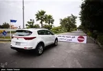خبری از تکاپوی نوروزی در خرید‌های مردم نیست