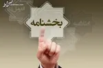 روش‌های دلارزدایی در کشورهای مختلف