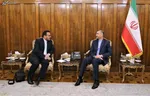 ما شاه ایرانیم؛ تحویل‌مان بگیرید!