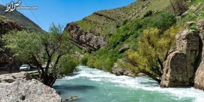 تصاویر / چهره تروریست‌های داعشی لو رفته در کرج
