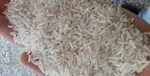 سنگینی گرانی روی شانه‌های تخم مرغ / قیمت‌های نجومی در سبد غذایی مردم