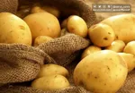 سیب‌زمینی تا هفته بعد ارزان می‌شود