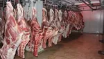 قیمت دام زنده امروز یکشنبه ۲۶ مرداد ۱۴۰۴