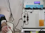 عراق آماده برپایی مراسم باشکوه پیاده‌روی اربعین شد+ عکس و فیلم