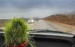 اعلام وضعیت جوی ۱۵ شهر پر مسافر کشور