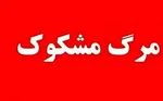 خودکشی خانم بازیگر سرشناس از دست پلیس / او ۲۸ ساله بود