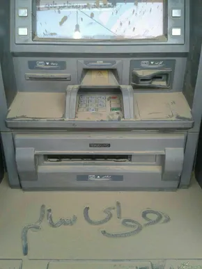 عکس/ تولد كبوتری عجيب