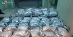 دستگیری ۵ سوداگر مرگ و کشف یک تن مواد مخدر در زاهدان