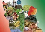 یارانه ویژه دولت؛ طرح یسنا به چه کسانی تعلق می‌گیرد؟