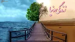 کدام ذکرها نماز را باطل می‌کند؟