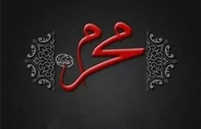 تصاویر / آیین سنتی علم گردانی در میناب