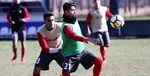 تمرین تیم ملی در کنار مرغ و خروس‌ها! +عکس