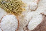 قیمت انواع برنج؛ برنج شیرودی و فجر کیلویی چند؟