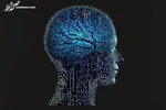 با این فعالیت‌ها از آلزایمر دور شوید