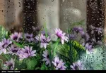 افتتاح سد خاکی در مرز‌های شرقی باحضور فرمانده نیروی زمینی سپاه