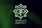 کشف 50 کیلو شیشه در جعبه‌های خرما