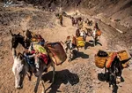 ماجرای بازداشت برادرزاده ۲ ساله جواد حیدری در قزوین چه بود؟