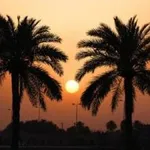 سه خبر عروسکی؛ از کلاه قرمزی و پسرخاله، فیل‎شاه و ...به عنوان عروسک‎های صلح