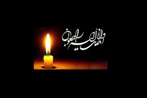 تصاویر/ جلسه هیات دولت