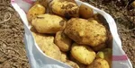 کشف بیش از ۱۹۲ تن کالای اساسی احتکاری| تشکیل ۳۸۶ پرونده برای متهمان اقتصادی