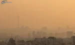 ۱۰ راهکار ساده برای درمان فوری سرماخوردگی
