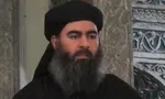 مشاور ترامپ:داعش احتمالاً به آمریکا حمله می‌کند