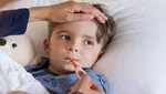 تقویت سیستم ایمنی و سلامت ریه با ۶ میوه زمستانی