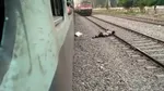 قتل بی‌رحمانه دختر نوجوان برای یک انگشتر