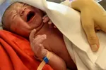 اولین عکس از قاتل بی‌رحم خانواده تویسرکانی