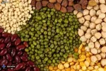 قیمت حبوبات امروز ۲۸ مرداد ۱۴۰۴