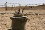 سرنوشت مشابه دختر ۲۰ ساله کوهدشتی با رومینا اشرفی و ریحانه عامری