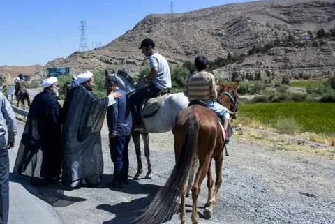 تصاویر |  اسب‌ها و سواران به سوی خورشید خراسان