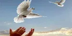 گذشت از قصاص، ۳۰ سال پس از وقوع قتل