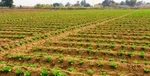 نقش اثرگذار بخش خصوصی در مبارزه با تحریم‌ها