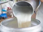 کاهش وزن با ۸ گام صبحگاهی